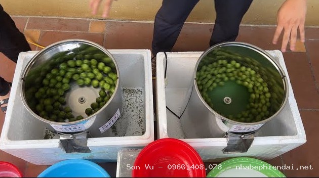 MÁY CẠO VỎ SẤU 2 tại Ba Đình