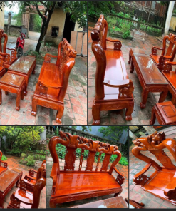 Gỗ xoan là gì ? Đặc điểm sinh trưởng của cây xoan