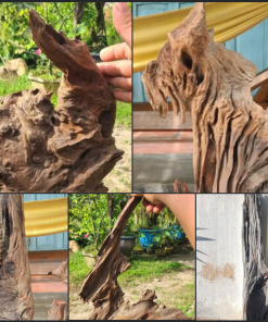 Quá trình chế tác gỗ lũa