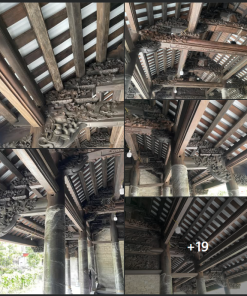 Gỗ lim là gì ? Gỗ Lim Xanh Có Tốt Không? Bao Nhiêu Tiền 1 Khối?