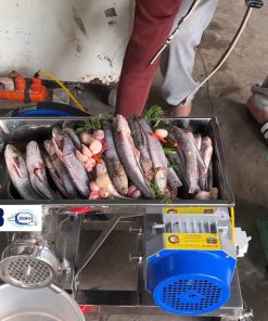 Máy xay xương– xay thịt– xay cá công nghiệp QL32 - chi tiết máy 4