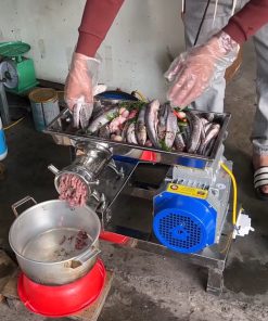 Máy xay xương– xay thịt– xay cá công nghiệp QL32 - chi tiết máy 2