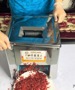 Máy thái thịt tươi sống K85 thái lạp xưởng hạt lựu - chi tiết máy 3