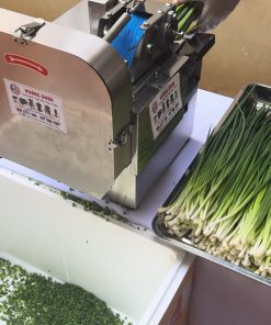 Máy thái hành lá băng tải JQ18 cắt hành lá, cắt ớt cho quán phở và nhà hàng nhỏ - chi tiết máy 2