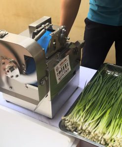 Máy thái hành lá băng tải JQ18 cắt hành lá, cắt ớt cho quán phở và nhà hàng nhỏ - chi tiết máy 4