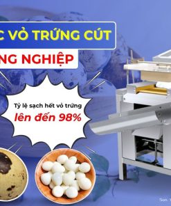 MÁY BÓC VỎ TRỨNG TỰ ĐỘNG – GIẢI PHÁP TỐI ƯU CHO CƠ SỞ CHẾ BIẾN