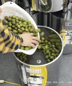 MÁY CẠO VỎ SẤU, GỌT VỎ SẤU, CHÀ QUẢ SẤU