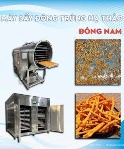 MÁY CẮT ĐÔNG TRÙNG HẠ THẢO 2.0MM