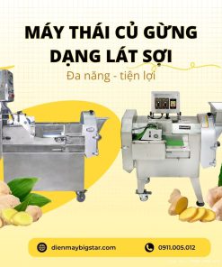 MÁY CẮT SỢI GỪNG: Giải pháp thái lát – thái sợi gừng chuyên nghiệp