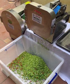 MÁY THÁI ĐẬU ĐŨA, MÁY CẮT ĐẬU QUE: Giải pháp sơ chế đậu đỗ năng suất cao 