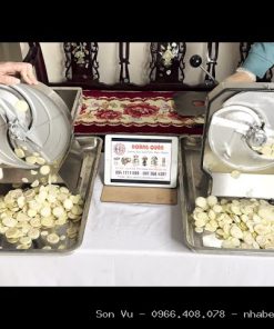 MÁY THÁI QUẢ CÀ PHÁO: Giải pháp thái lát củ quả đa năng, mỏng đều