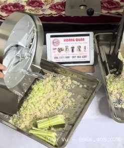 MÁY THÁI SẢ, MÁY CẮT SẢ - MÁY THÁI LÁT BĂNG TẢI CHD20