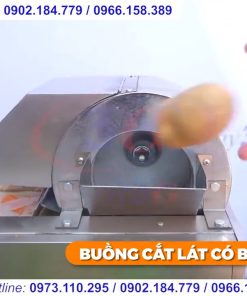 Máy Thái Rau Củ Quả Tự Động YQC660 - chi tiết máy 3