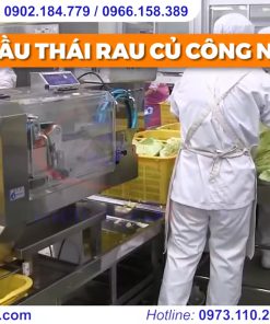 Máy Thái Rau Củ Quả Đa Năng Tốt Nhất Cắt Mọi Loại Rau - chi tiết máy 3