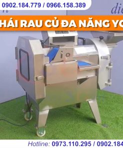 Máy cắt thái rau củ quả QX300 - chi tiết máy 2