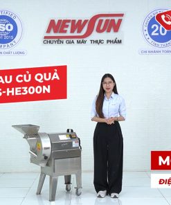 Máy Cắt Rau Củ Quả Đa Năng HE-300N
