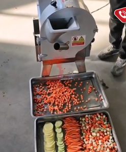 Máy thái rau củ NQE300 - chi tiết máy 3