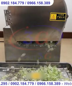 Máy thái rau củ băng tải FM-D20 - chi tiết máy 2