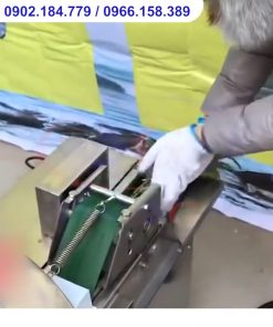 Máy Thái Rau Củ Quả SM D20 Thái Lát, Thái Khúc, Băm Nhỏ