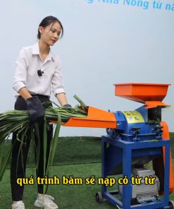 Cách lắp đặt và vận hành máy băm cỏ nghiền cám C300 - chi tiết máy 3