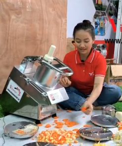 Máy thái củ quả đa năng VME – 6 lưỡi dao - chi tiết máy 3