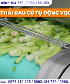 Máy thái rau củ EQC 660 - chi tiết máy 3