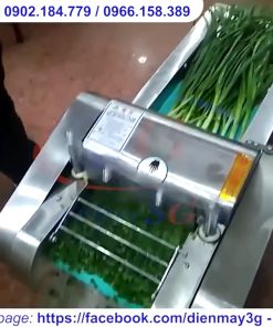 Máy thái rau củ EQC 660 - chi tiết máy 4