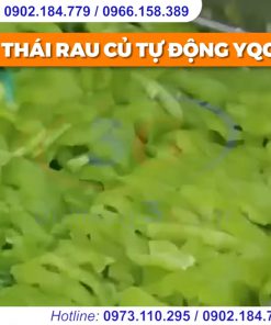Máy thái rau củ EQC 660 - chi tiết máy 2