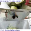 MÁY THÁI RAU CỦ QUẢ FULL TÍNH NĂNG (Cắt Lát, Sợi, Hạt Lựu)