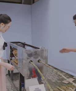 Máy Bào Vỏ Mía 2 Cây 10 Khung 40 Lưỡi Dao Bản Nâng Cấp