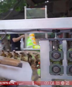 Máy Cạo Vỏ Mía Tự Động 1 Cây Bản 2 Biến Tần - chi tiết máy 2