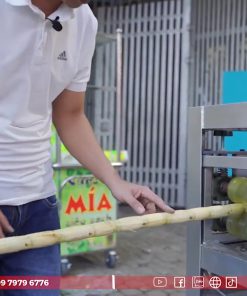 Máy Cạo Vỏ Mía Tự Động 1 Cây Bản 2 Biến Tần - chi tiết máy 4