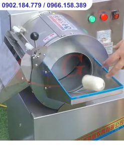 Máy Thái Lát, Thái Sợi Rau Củ Quả Tự Động SH60 - chi tiết máy 3