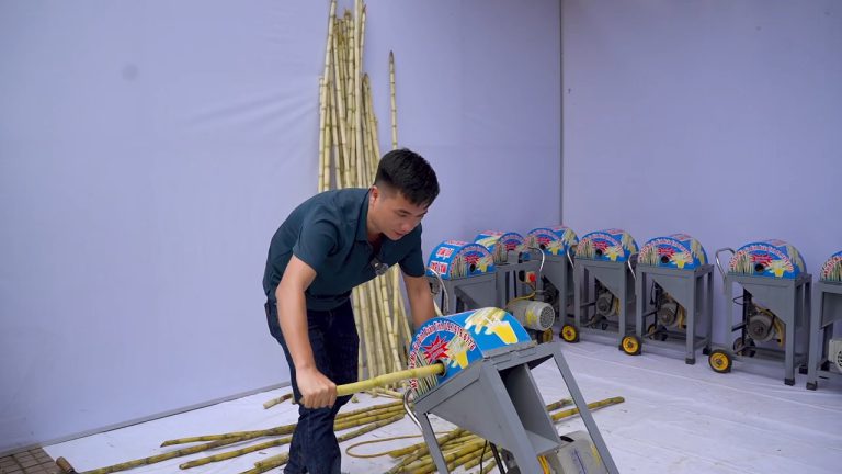 Máy Bào Mía Gia Đình Mini 9 Chổi-1500w (309) Ra Mắt Bào Mía Gia Đình Xuân Tình 2025 Mini 9 Chổi-1500w BH 15 Tháng (5)