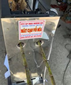 Thử máy cạo vỏ mía trước khi giao máy cạo vỏ mía 2 cây về cho Khách ở Thái Bình