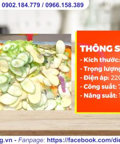 Top 3 Máy Cắt Rau Củ Quả Chuyên Thái Lát, Thái Sợi - chi tiết máy 3