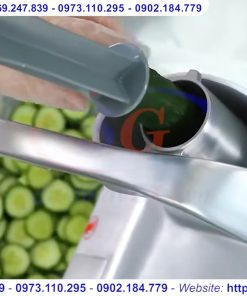 Máy thái rau củ quả công nghiệp - chi tiết máy 4