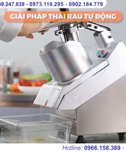 Máy thái rau củ quả công nghiệp - chi tiết máy 6