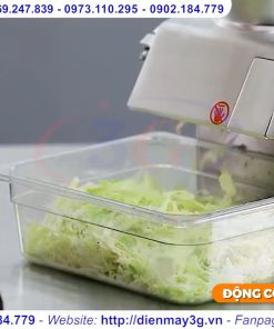Máy thái rau củ quả công nghiệp - chi tiết máy 5