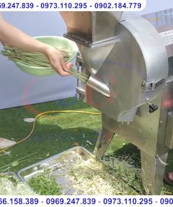 Top 7 Máy Thái Rau Củ Quả Đa Năng Cắt Lát, Sợi, Hạt Lựu