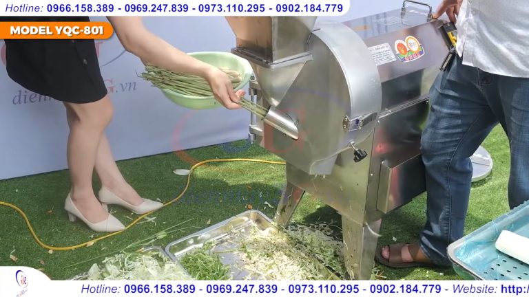 Máy thái rau củ quả công nghiệp (309) Top 7 Máy Thái Rau Củ Quả Đa Năng_ Cắt Lát, Sợi, Hạt Lựu_ Điện Máy 3G (6)