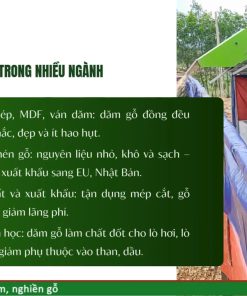 Cấu tạo máy băm gỗ và nguyên lý hoạt động hiệu quả - chi tiết máy 2
