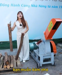 Máy Băm Gỗ Mảnh 2T Bình Quân - Băm Gỗ Chíp, Gỗ Vuông Siêu Nhanh, Siêu Năng Suất