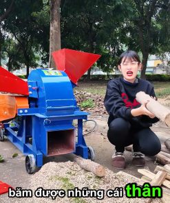 Máy Băm Gỗ Đa Năng 2T - chi tiết máy 3