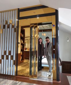 Thang máy Kleemann tại Green Pearl - chi tiết máy 2