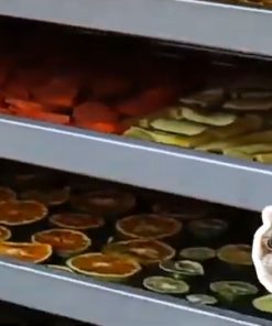 Tủ sấy nông sản đa năng - chi tiết máy 2