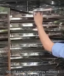 Máy sấy thực phẩm sấy cá lóc 1 lần 20kg