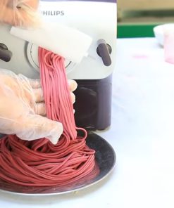 Máy làm mì sợi gia đình công suất nhỏ - chi tiết máy 2