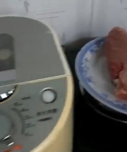 Cách làm chà bông thịt heo bằng máy làm chà bông nội địa Nhật – ruốc bông tơi xốp - chi tiết máy 3