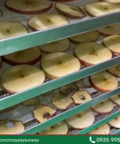 Máy sấy cho nhà máy chế biến thực phẩm - chi tiết máy 2